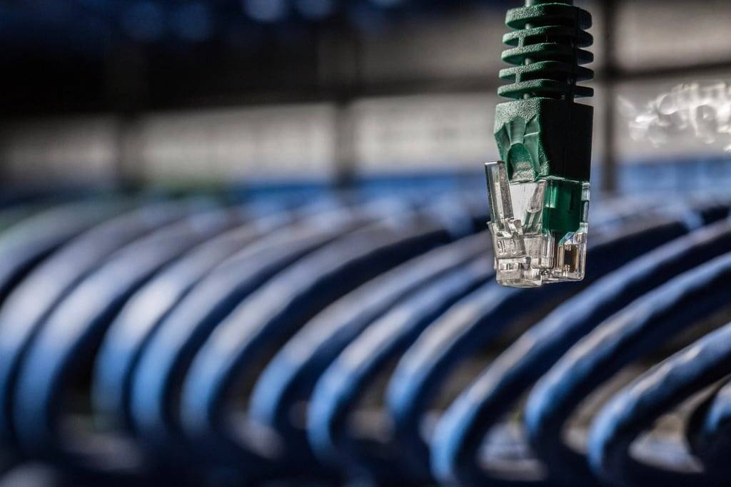 Network cables plugged into a switch